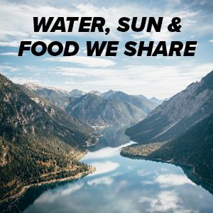 The Water, Sun, and Food We Share