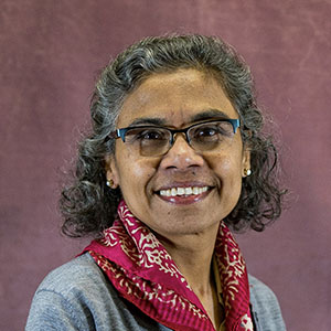 Chamu Sundaramurthy, Ph. D.,  Professor and Department Chair