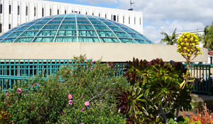 SDSU Love Library Dome