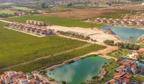 Aerial view of Valle de Guadalupe 